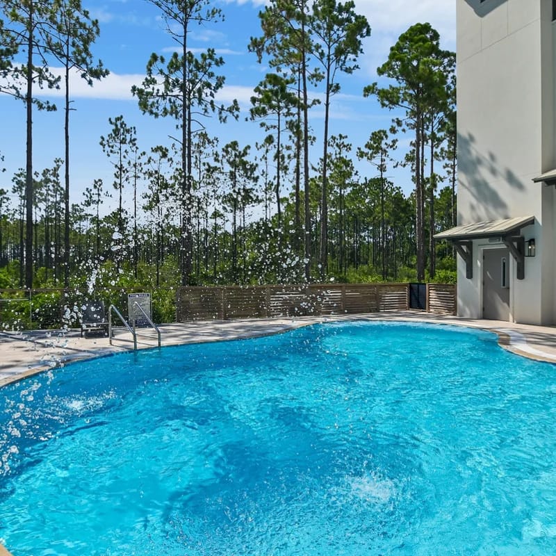 Paradise Pines